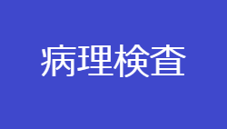 病理検査