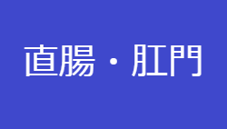 直腸・肛門