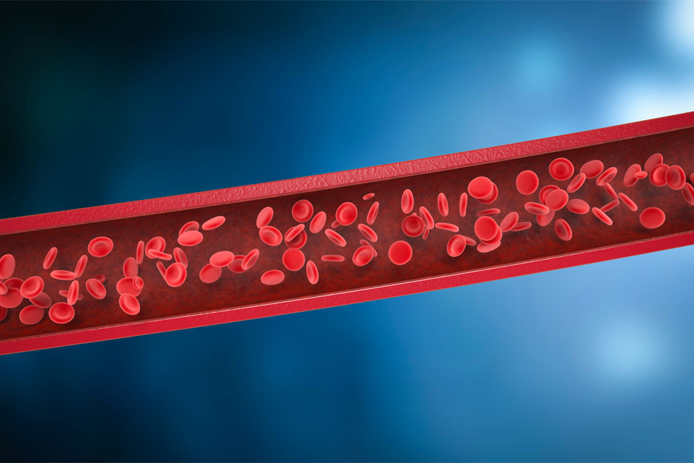 血管の中を流れる血液の様子