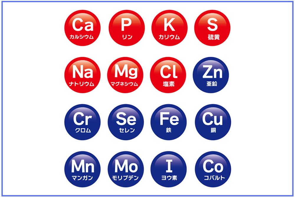 必須ミネラルを表にした画像